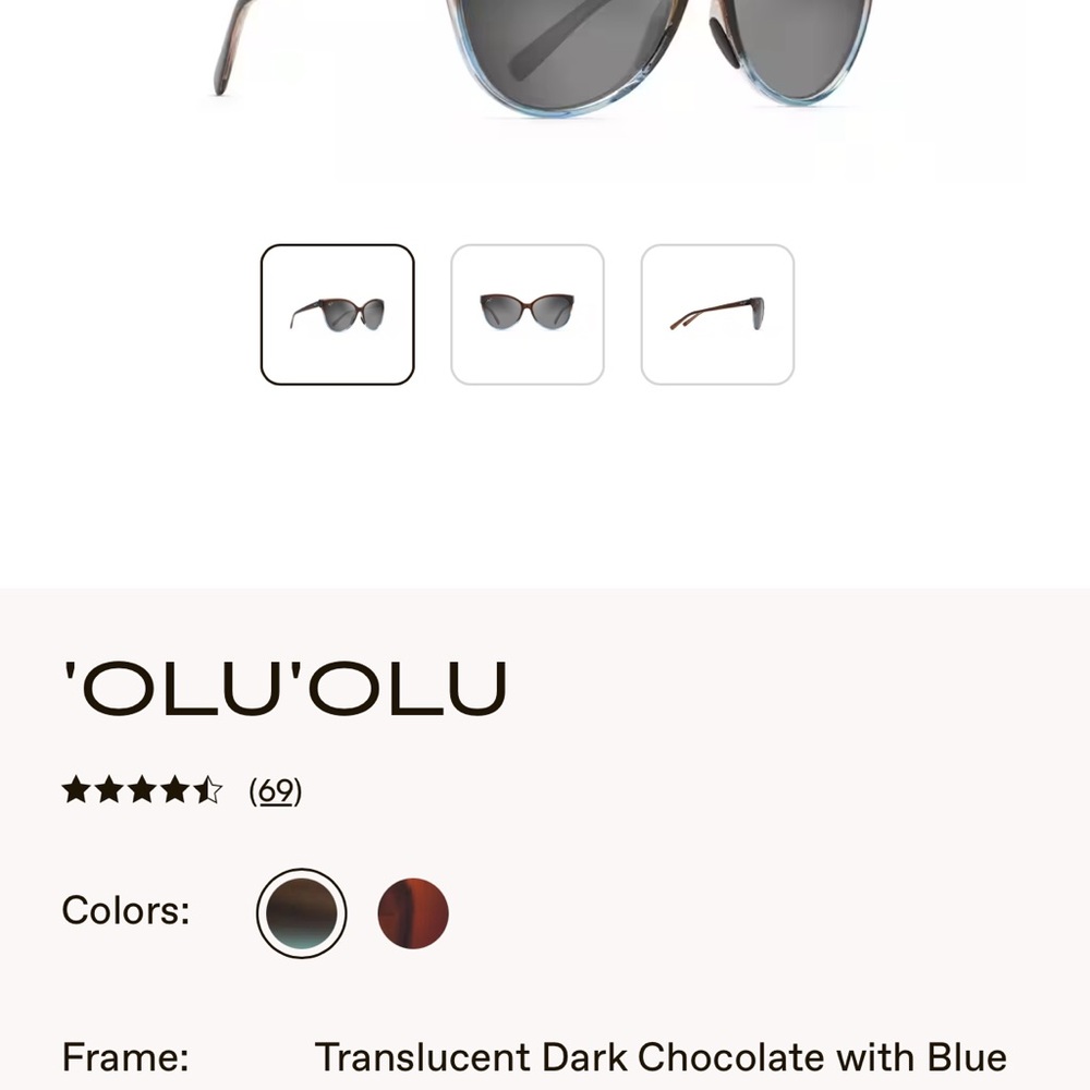 Women's Sunglasses - Dark Chocolate with Blue Accents